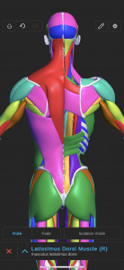 اسکرین شات برنامه Visual Anatomy 3D 8