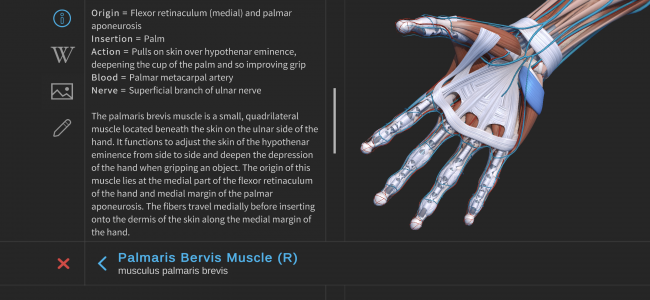 اسکرین شات برنامه Visual Anatomy 3D 3