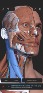 اسکرین شات برنامه Visual Anatomy 3D 1