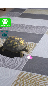 اسکرین شات برنامه AR 3D Animals 5