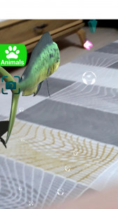 اسکرین شات 2 برنامه AR 3D Animals