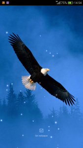 اسکرین شات 6 برنامه Birds Sounds Ringtones