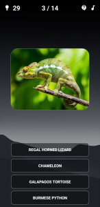 اسکرین شات 1 بازی Animal Quiz: Guess the Animal