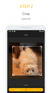 اسکرین شات برنامه Gif mini: GIF Editor 4