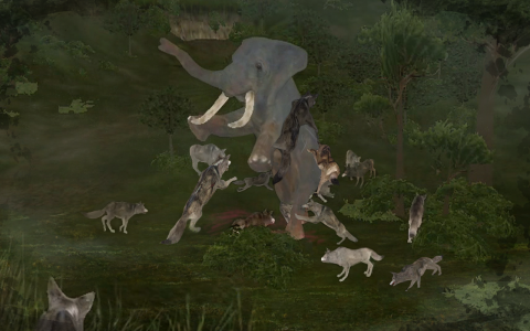 اسکرین شات بازی Wild Animals Online(WAO) 4