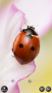 اسکرین شات 5 برنامه Magnifier & Microscope [Cozy]