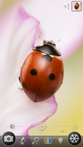 اسکرین شات 3 برنامه Magnifier & Microscope [Cozy]