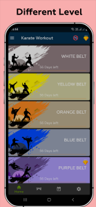 اسکرین شات 2 برنامه Karate Workout At Home