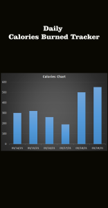 اسکرین شات 5 برنامه Capoeira Workout At Home