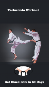 اسکرین شات 1 برنامه Taekwondo Workout At Home