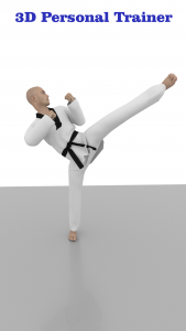 اسکرین شات 2 برنامه Taekwondo Workout At Home