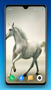اسکرین شات برنامه Horse Wallpapers 4K 7