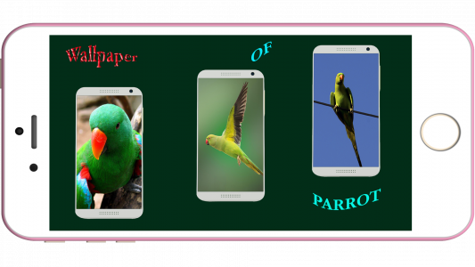 اسکرین شات برنامه Parrot Wallpaper HD 1