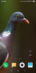 اسکرین شات برنامه Pigeon Wallpaper HD 7