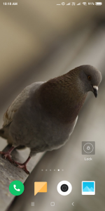 اسکرین شات برنامه Pigeon Wallpaper HD 8