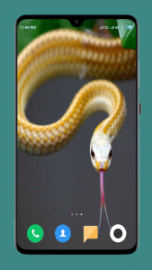 اسکرین شات برنامه Snake Wallpaper HD 5