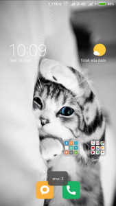 اسکرین شات برنامه Beautiful and cute cat wallpapers 3