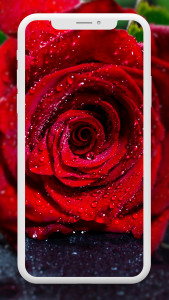 اسکرین شات برنامه Flower Wallpaper HD – 4k 5