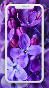 اسکرین شات برنامه Flower Wallpaper HD – 4k 6