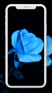 اسکرین شات برنامه Flower Wallpaper HD – 4k 8