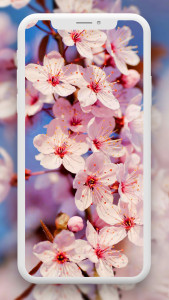 اسکرین شات برنامه Flower Wallpaper HD – 4k 3