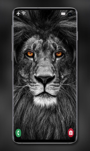 اسکرین شات 3 برنامه Ultimate Offline Wallpaper