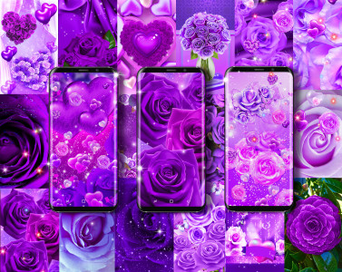 اسکرین شات برنامه Purple rose live wallpaper 1