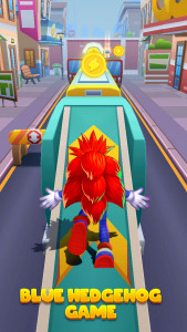 اسکرین شات بازی Hedgehog 3D Blue Run 2