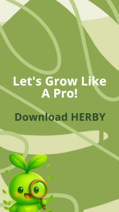 اسکرین شات 8 برنامه Herby: AI Plant Identifier