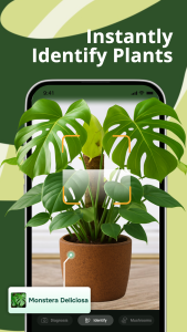 اسکرین شات 2 برنامه PlantAI: Plant ID & Care