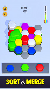 اسکرین شات بازی Hexa Color Sort Blocks Puzzle 2