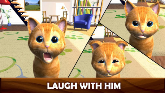 اسکرین شات بازی Daily Kitten : virtual cat pet 5