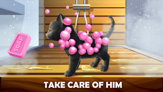 اسکرین شات بازی Daily Kitten : virtual cat pet 3
