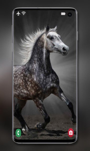 اسکرین شات برنامه Horse Wallpapers 7