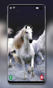 اسکرین شات برنامه Horse Wallpapers 5