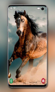 اسکرین شات برنامه Horse Wallpapers 3