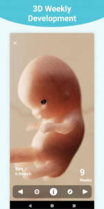 اسکرین شات برنامه Pregnancy + | Tracker App 5