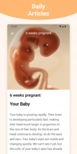 اسکرین شات 3 برنامه Pregnancy + | Tracker App