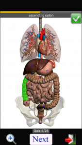 اسکرین شات برنامه Anatomy Quiz 7