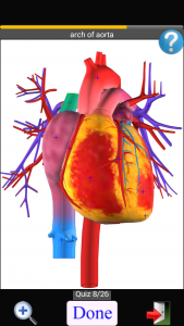 اسکرین شات برنامه Anatomy Quiz 4