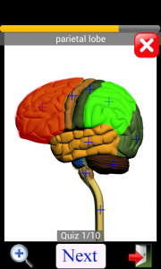 اسکرین شات برنامه Anatomy Quiz 8