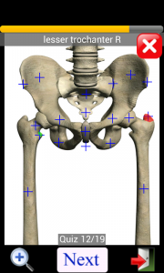 اسکرین شات برنامه Anatomy Quiz 6