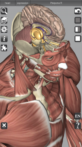 اسکرین شات برنامه 3D Bones and Organs (Anatomy) 5