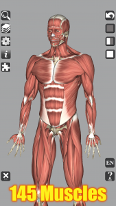 اسکرین شات برنامه 3D Bones and Organs (Anatomy) 2
