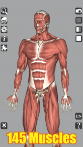 اسکرین شات 2 برنامه 3D Bones and Organs (Anatomy)