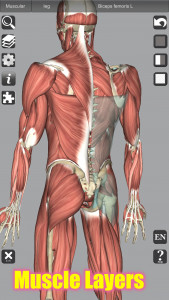اسکرین شات برنامه 3D Bones and Organs (Anatomy) 3