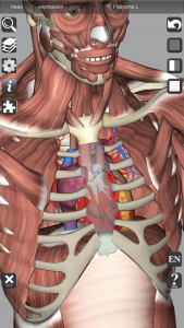 اسکرین شات برنامه 3D Bones and Organs (Anatomy) 7
