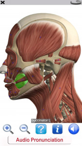 اسکرین شات برنامه Visual Anatomy Lite 5