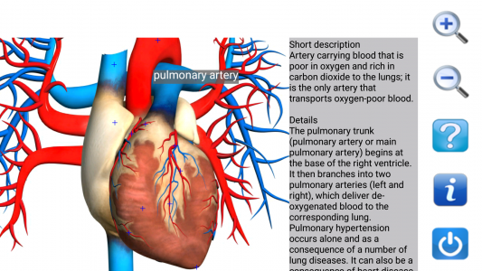 اسکرین شات برنامه Visual Anatomy Lite 7