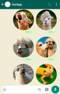 اسکرین شات برنامه Animal Stickers for WhatsApp 3